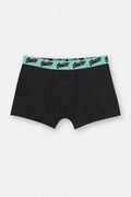 Boxer STWD colors
