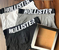Hollister Boxer