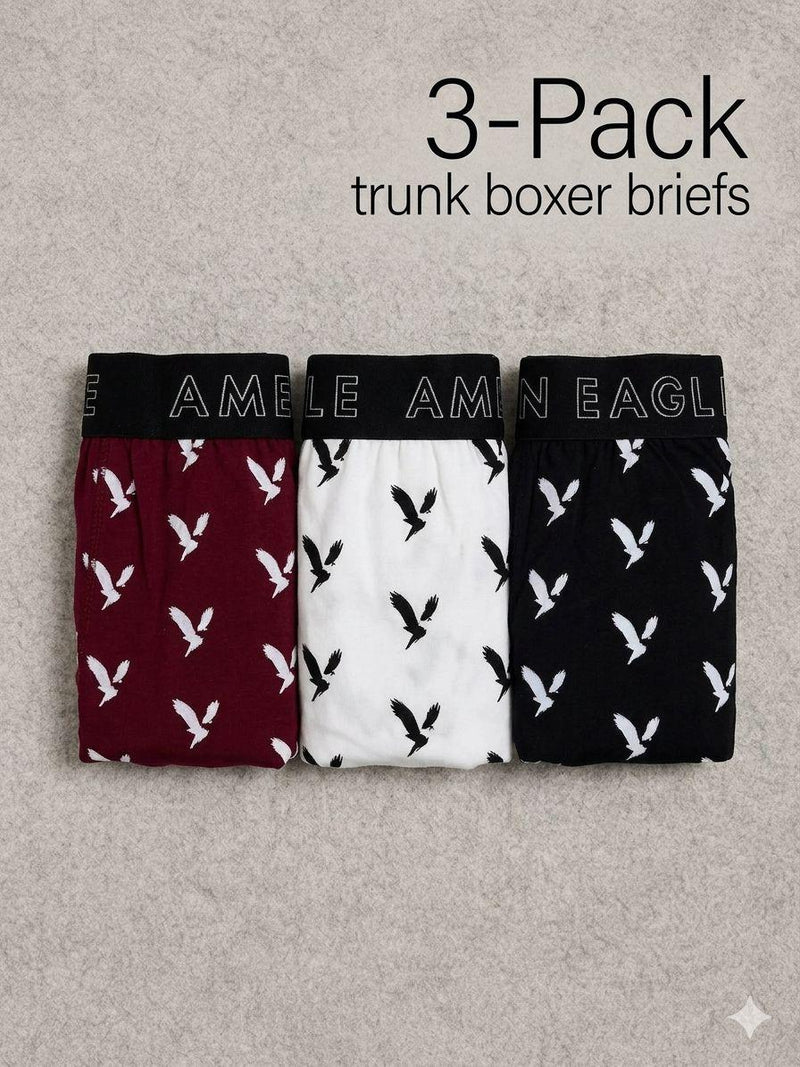 American Eagle New